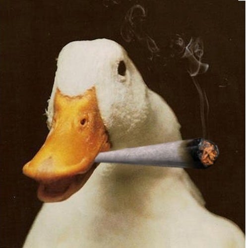 The Golden Goose on X: "Well since #marijuana is trending ...