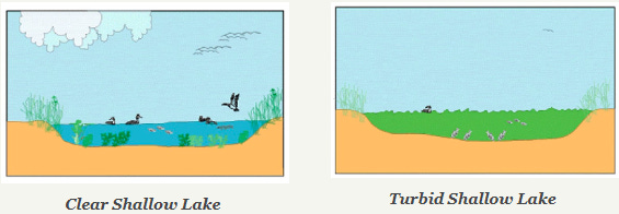 Shallow Lakes Don't “Stink” - EasyBlog