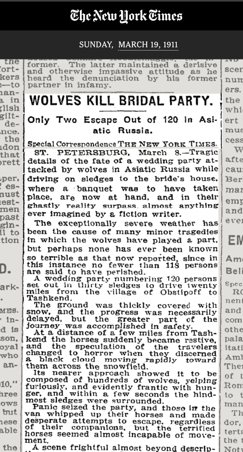 screenshot of a 1911 NY Times article about a wolf attack in Russia
