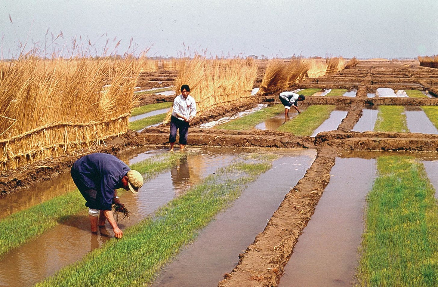 China - Agriculture, Animal Husbandry, and Mining | Britannica