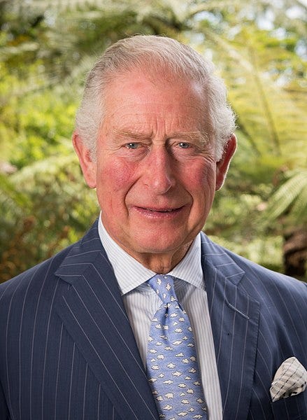 File:Prince Charles in Aotearoa (cropped).jpg