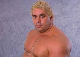 Dino Bravo