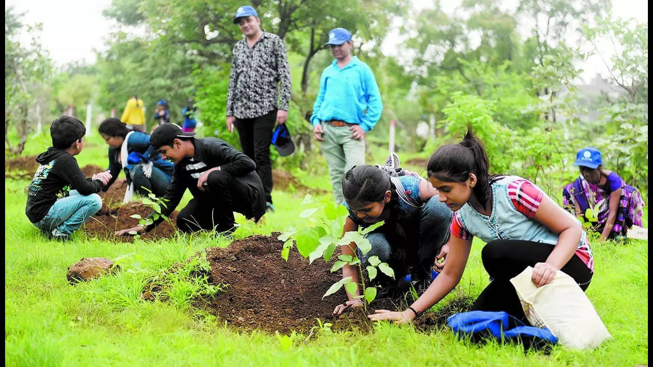 Indore: Indore aims to set world record by planting 11 lakh saplings in a  day | Indore News - Times of India