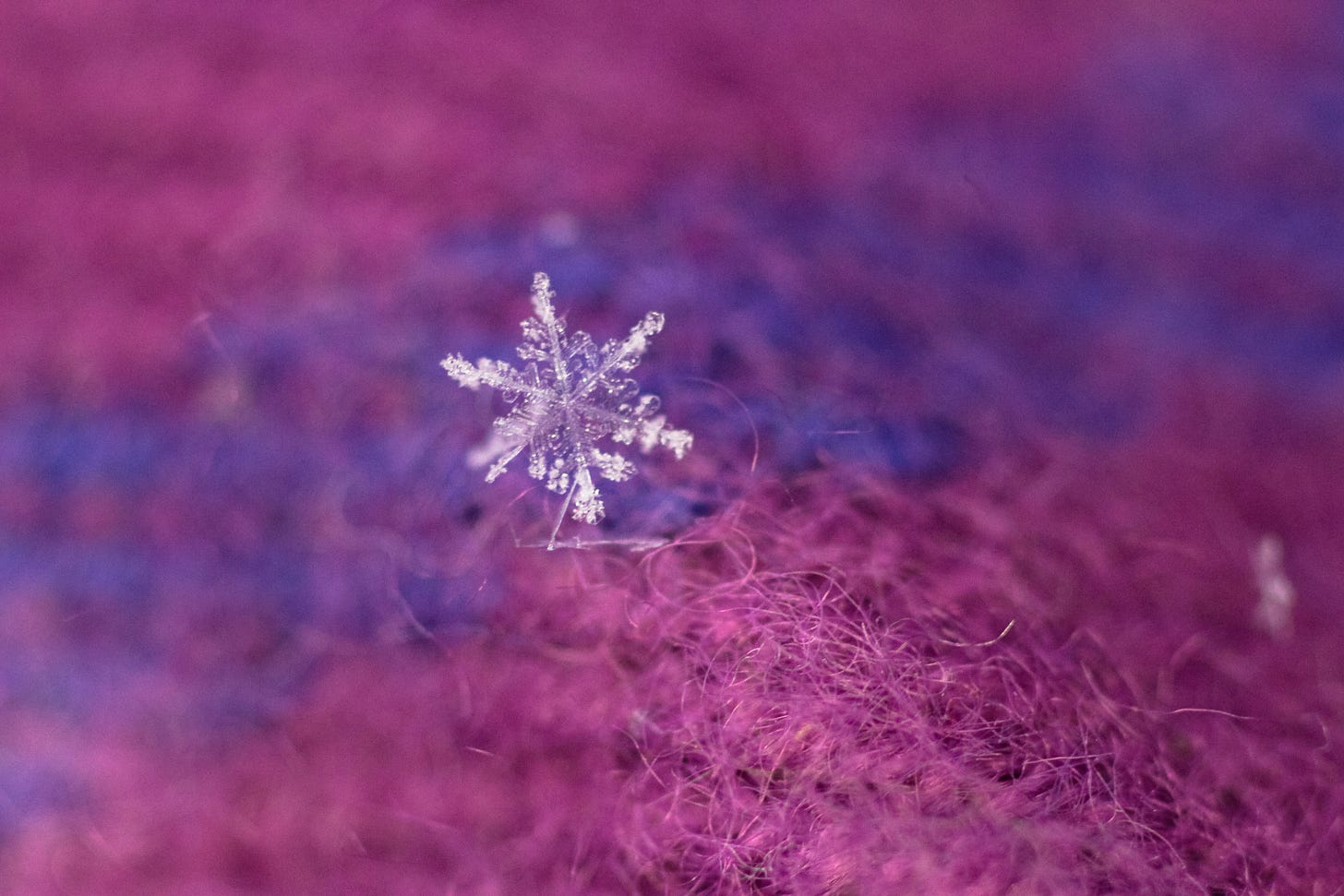 snowflakes-1