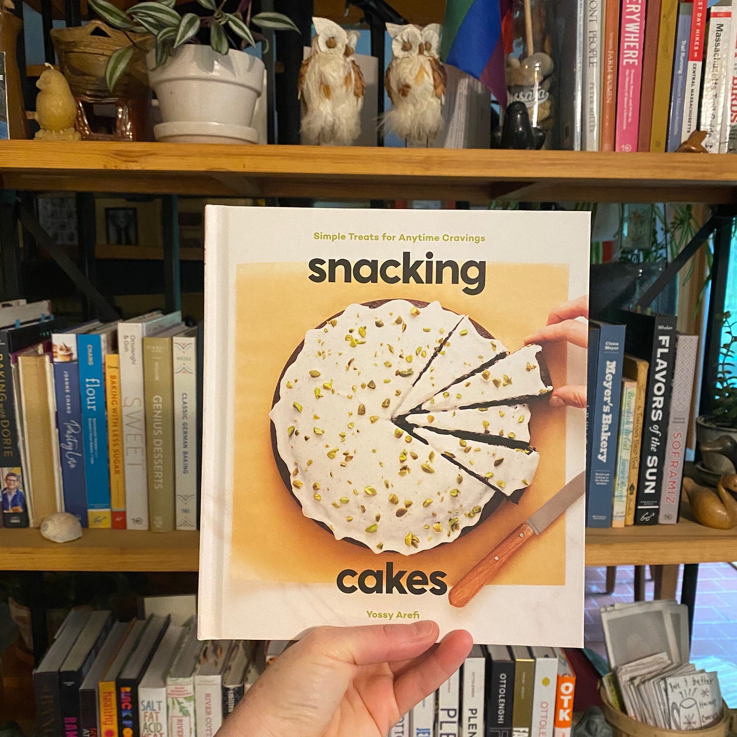 My hand holding up Snacking Cakes in front of a bookshelf of colorful cookbooks, two small owl figurines, a potted plant, and other knickknacks. 