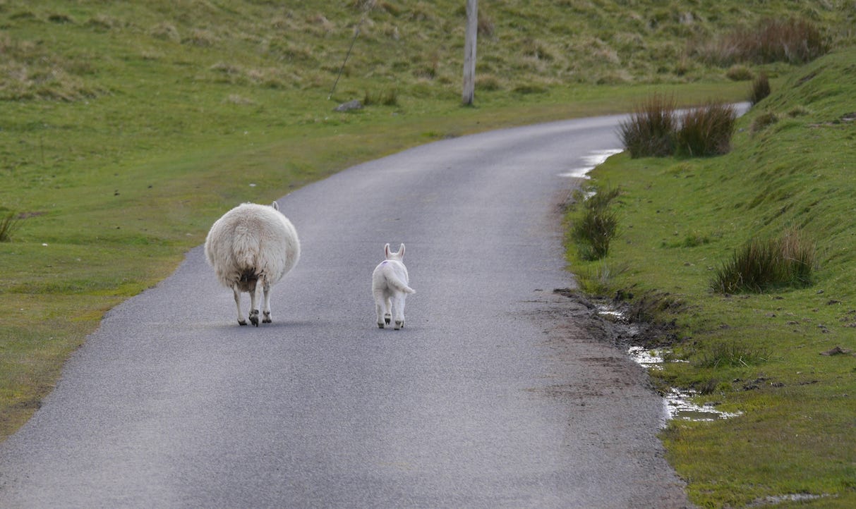 Spring is here, and my thoughts turn to my health and my pension pots