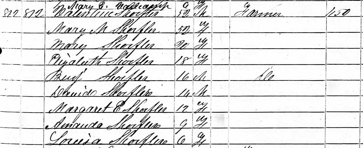 screenshot of the "Shorfler" family on the 1850 census