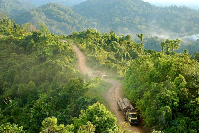 Trucks carrying logs in East Kalimantan, Indonesia, in 2005.