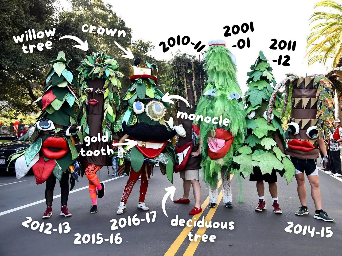 The Stanford Tree turns over a new leaf