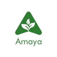 Logo de Amaya Ag