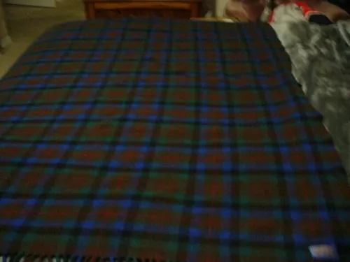 Pendleton 100% Wool Plaid Blanket - Picture 1 of 2