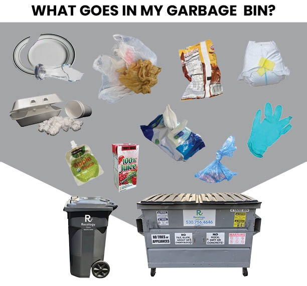 Image of gray dumpster and black wheeled garbage bin with pictures of items suitable for garbage collection