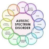 Image result for asd Image result for asd
