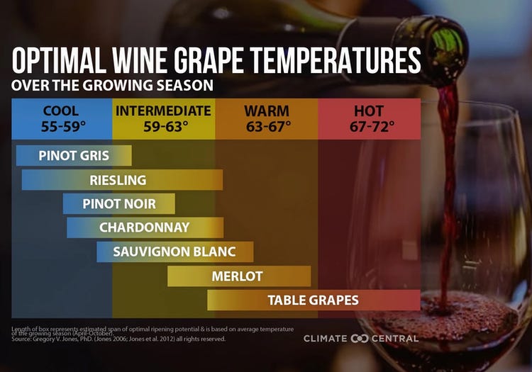 "Premium wine grapes can only be grown in places that support a delicate balance of heat and precipitation 