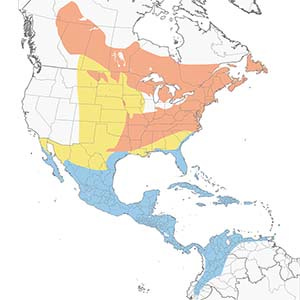 Cornell Lab map of warbler range