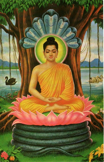 buddha meditating under a tree