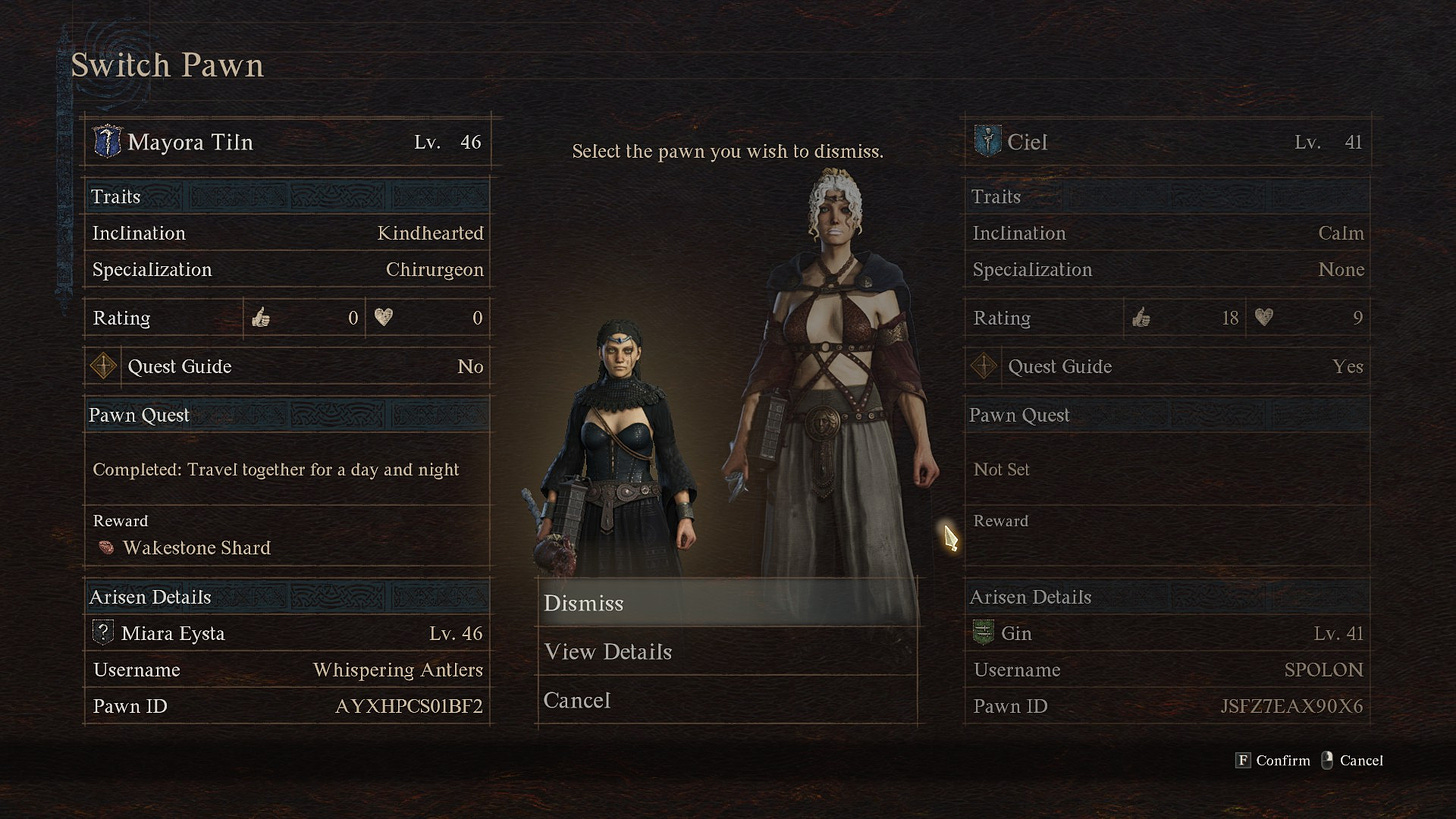 Dragon's Dogma 2 Pawns, Party, and Playstyle.