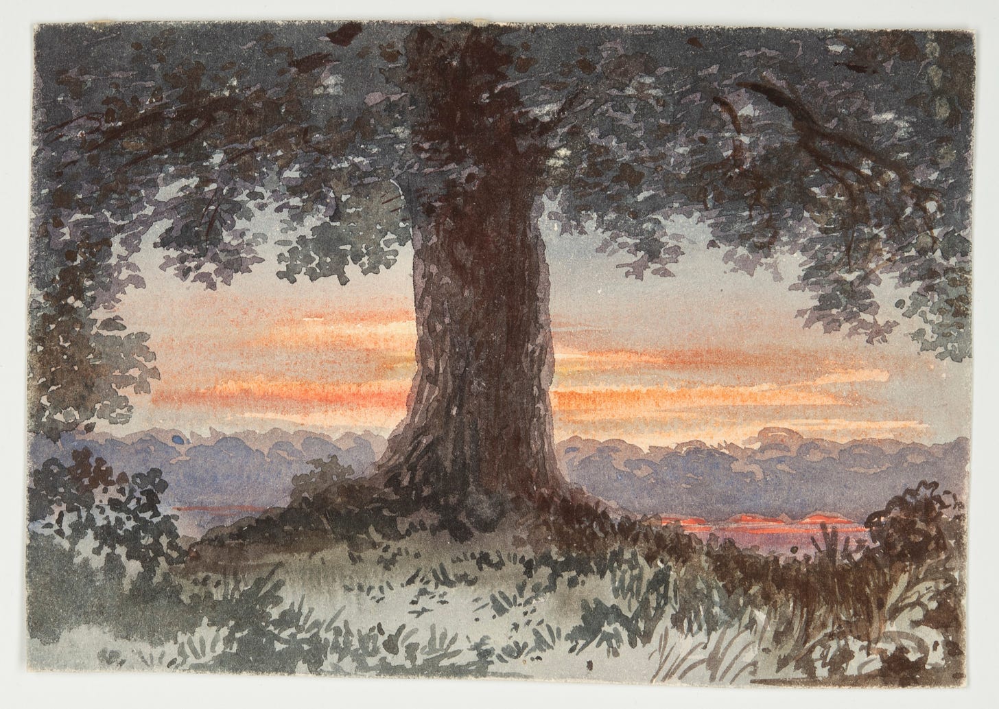 Landscape with a tree trunk in the foreground, red sky in the background.