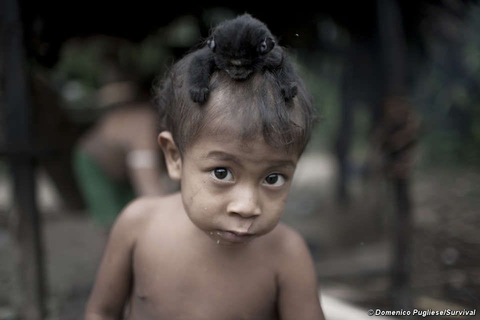 Awá – an endangered Amazonian tribe of hunter-gatherers.
