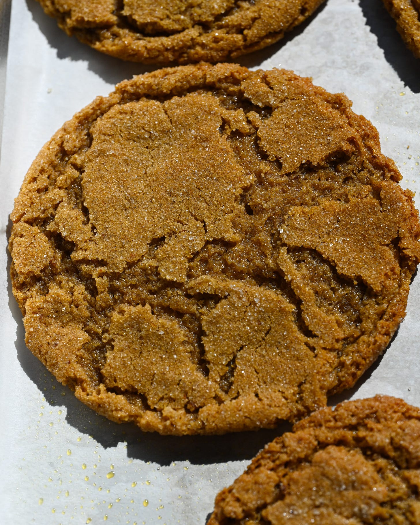 Two Pumpkin Cookies by Sam buttermilk weekly