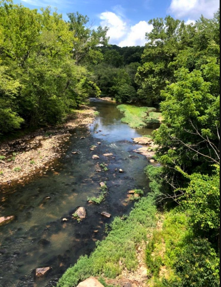 Image of the Eno river in summer