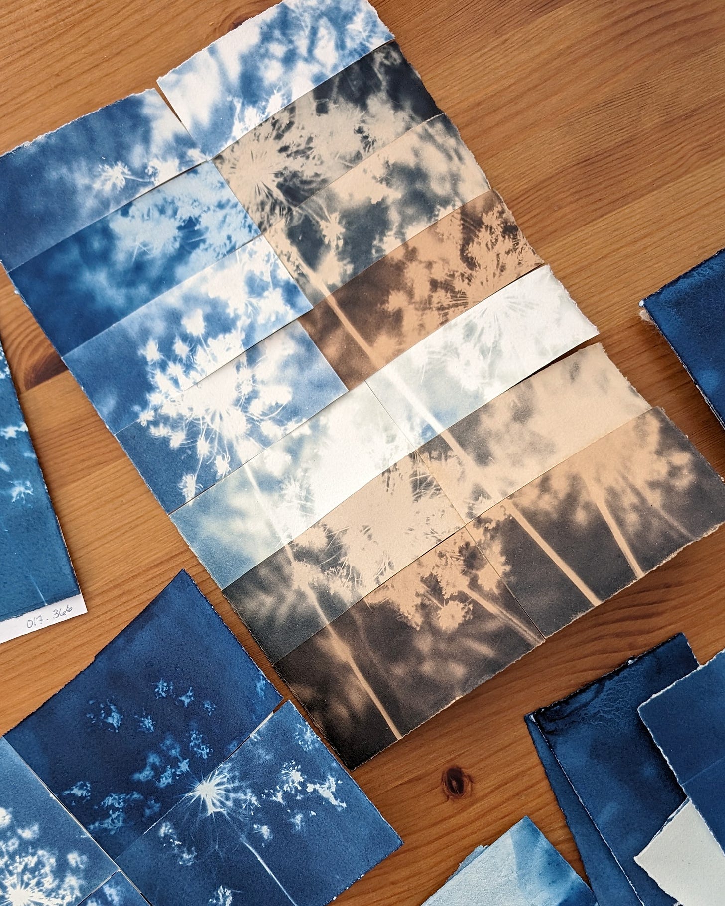 large cyanotype with different toning processes