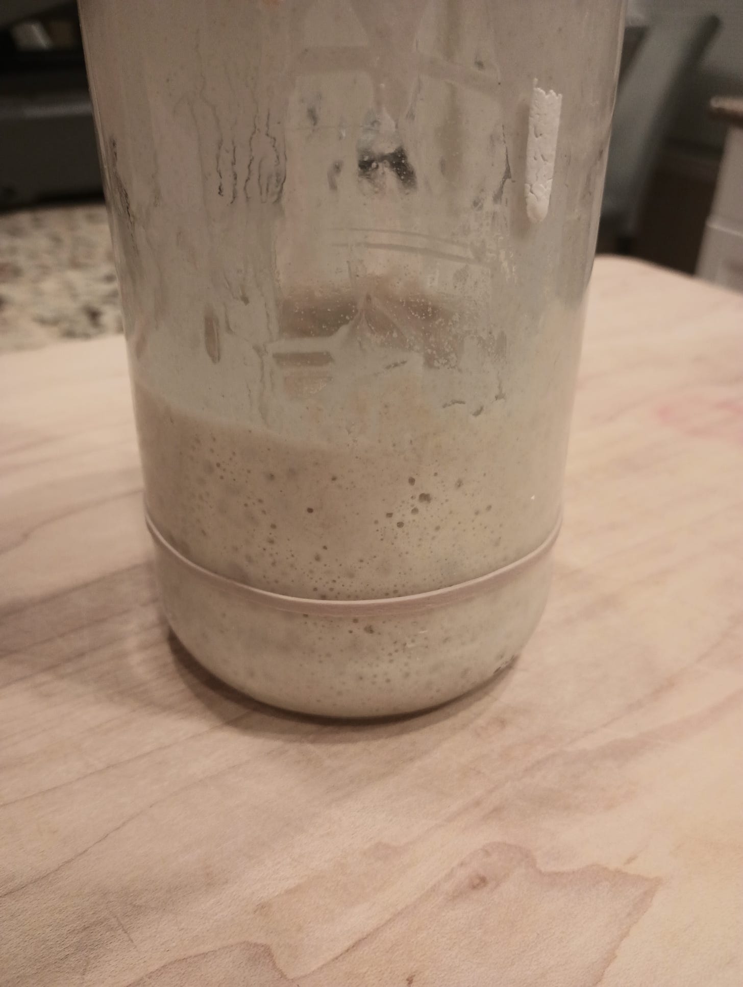 sourdough starter in jar.