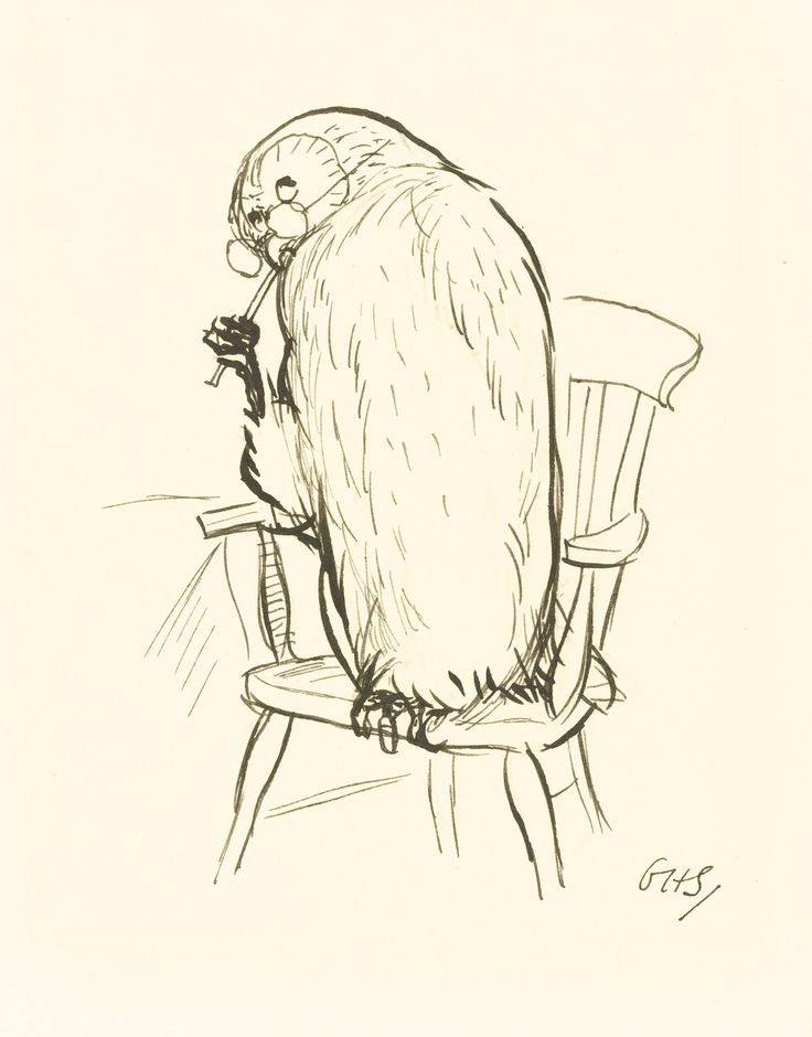 Owl at the table