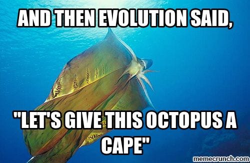 Evolution | Biology memes, Fishing memes, Teacher memes