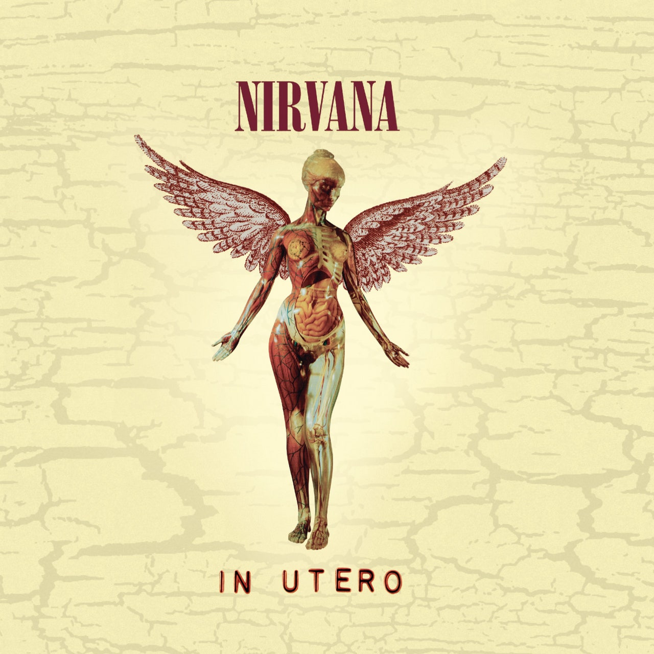 Nirvana: In Utero (20th Anniversary Super Deluxe Edition) Album Review |  Pitchfork