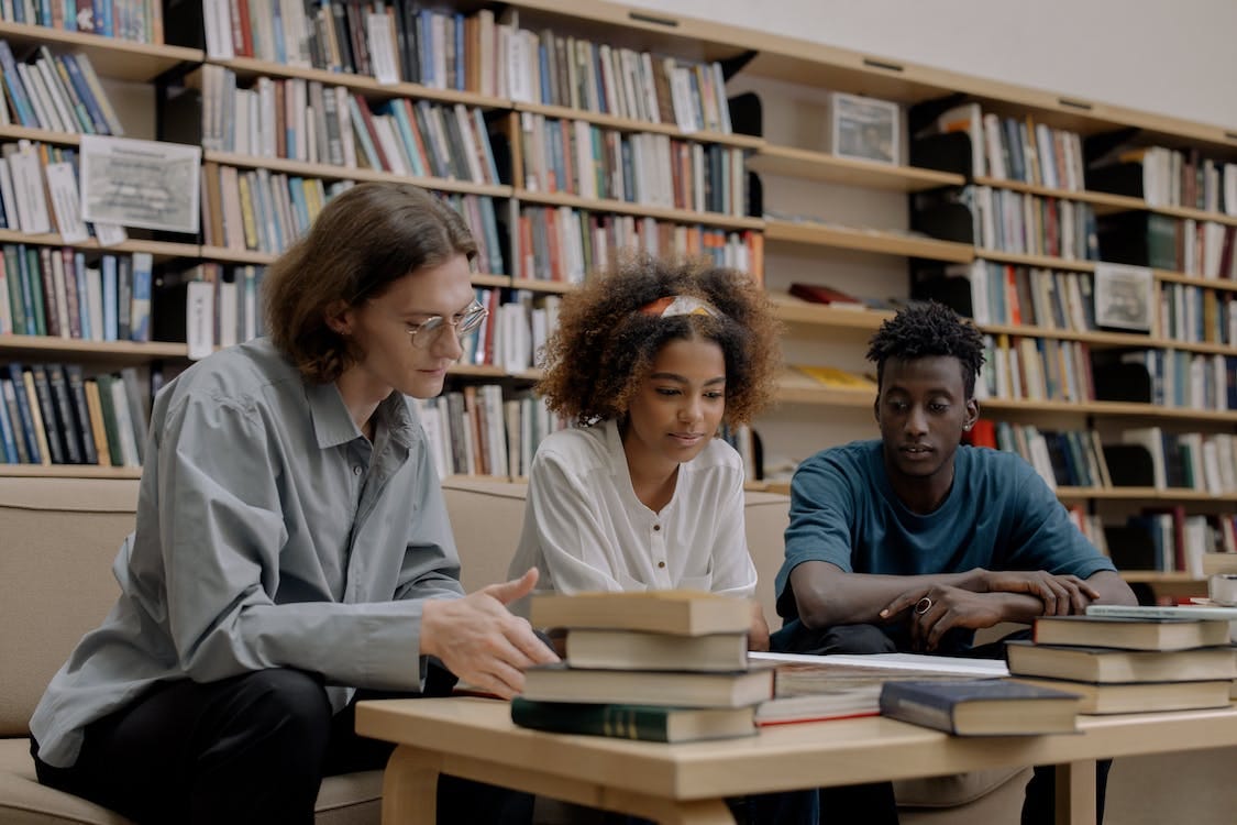 Free People Studying Inside A Library Stock Photo