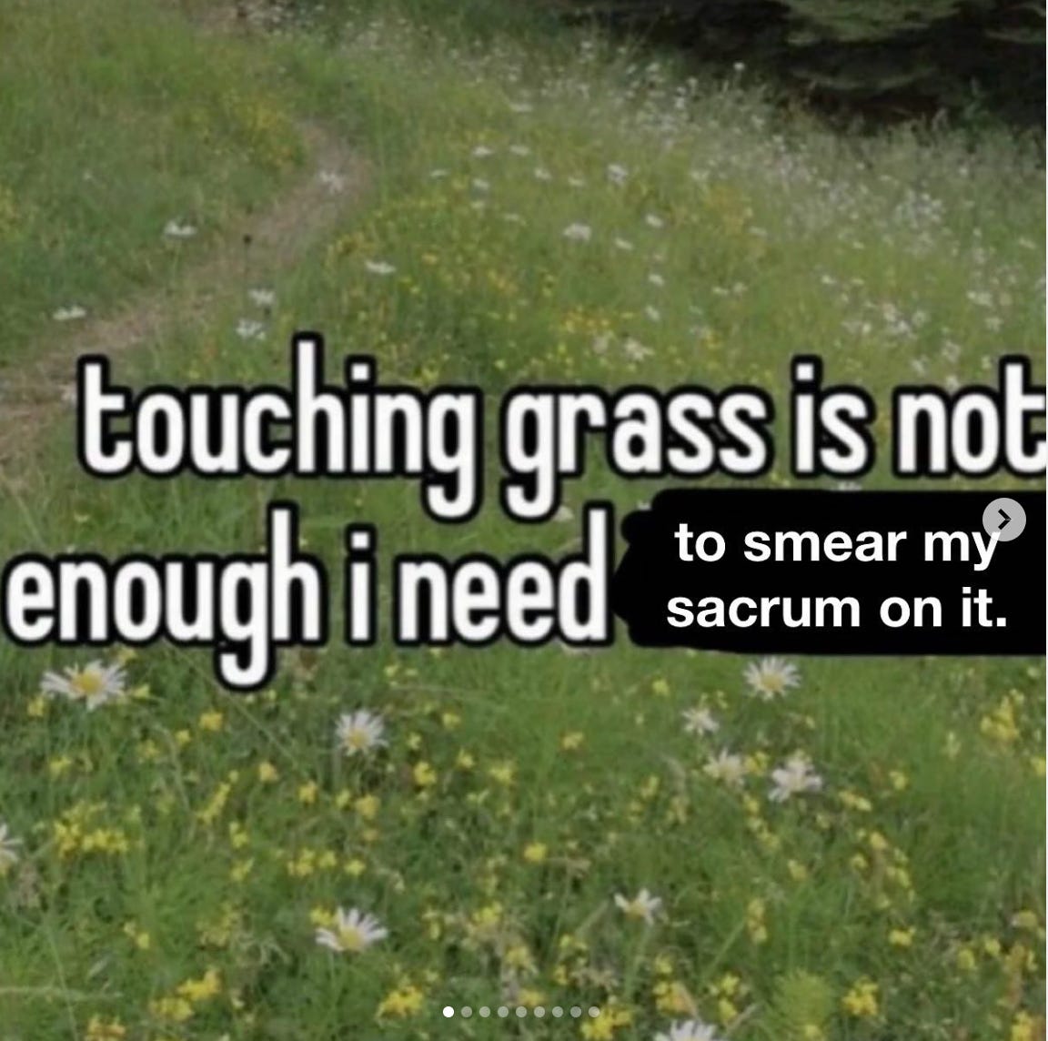 image of a green field of wild flowers, with the caption "touching grass is not enough I need to smear my sacrum on it"