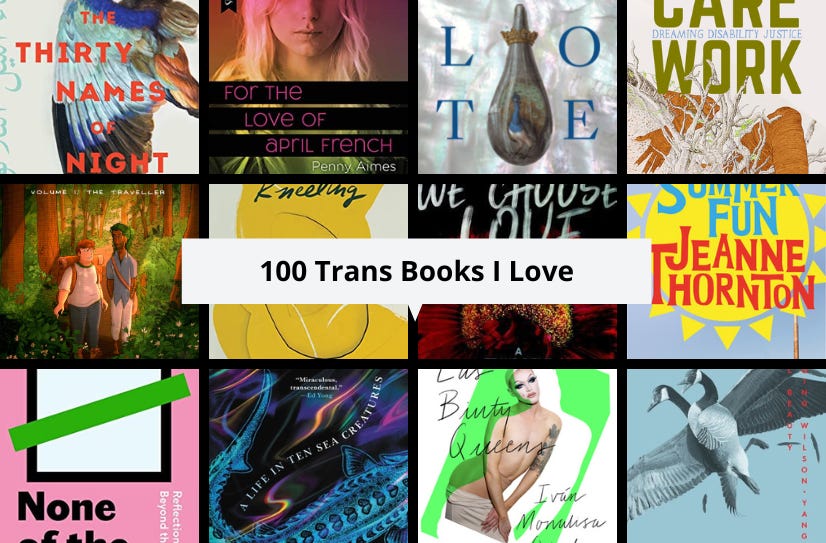 A gird of cover images of 12 of the listed books with the text ‘100 Trans Books I Love’ in the center.