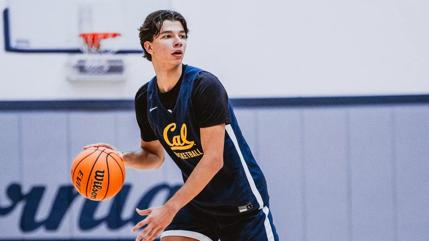 Andrej Stojakovic - Men's Basketball - California Golden Bears Athletics