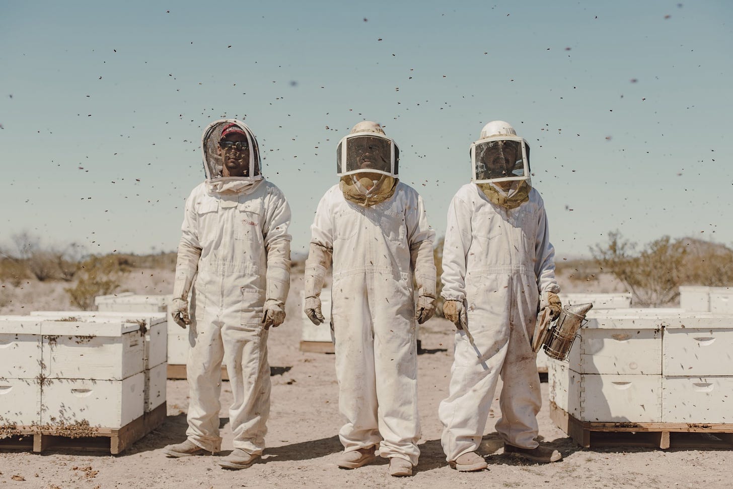 <p>Alfredo, Ubaldo, and José tend beehives near Wenden in the Arizona desert, United States. A substantial decrease in rainfall in the area means that the men must now provide water for the bees in troughs.</p>
