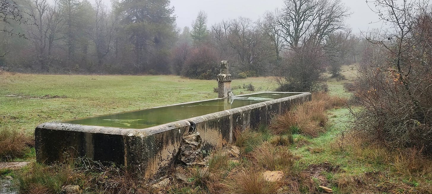 Fuente en Carrascosa 