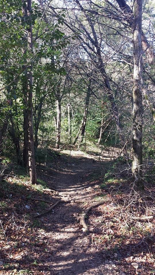 Photo of a shady hiking trail on the Barton Creek Greenbelt in Austin, Texas ca. 2016. Image credit: author Photo of a shady hiking trail on the Barton Creek Greenbelt in Austin, Texas ca. 2016. Image credit: author