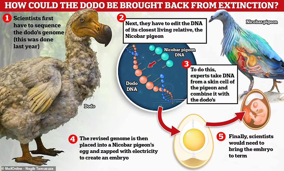 ¿Cómo podríamos resucitar el dodo?