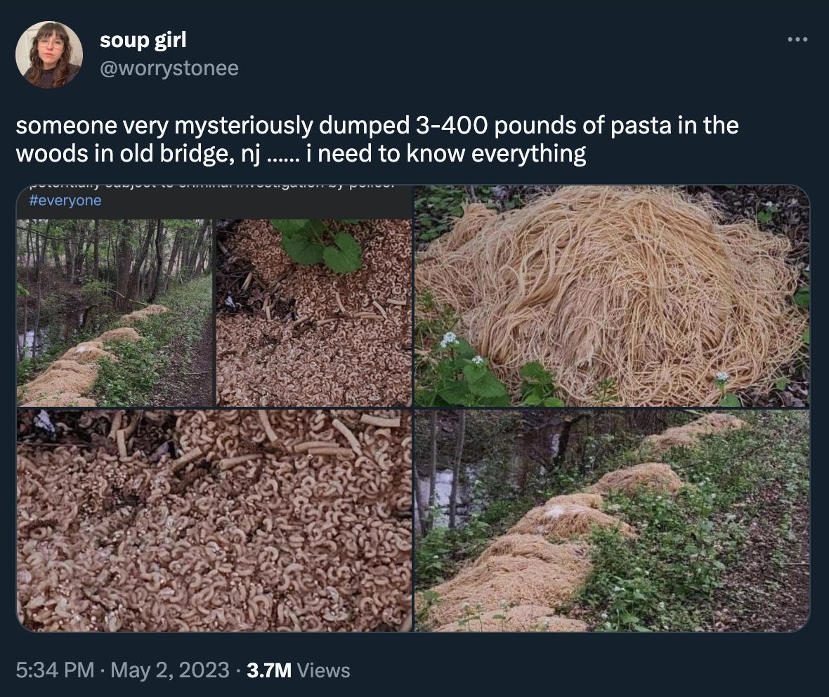 Tweet by @worrystonee: “someone very mysteriously dumped 3-400 pounds of pasta in the woods in old bridge, nj …… i need to know everything” along with several pictures of 3-400 pounds of pasta dumped in the woods, which if you can’t see them, you’re just going to have to imagine it and good luck. 