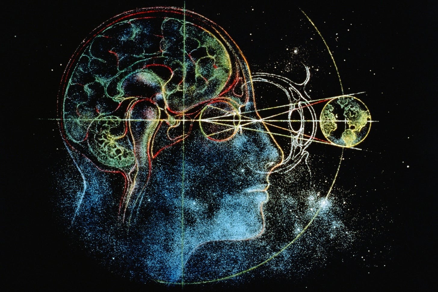 The Universe Can Become A Brain