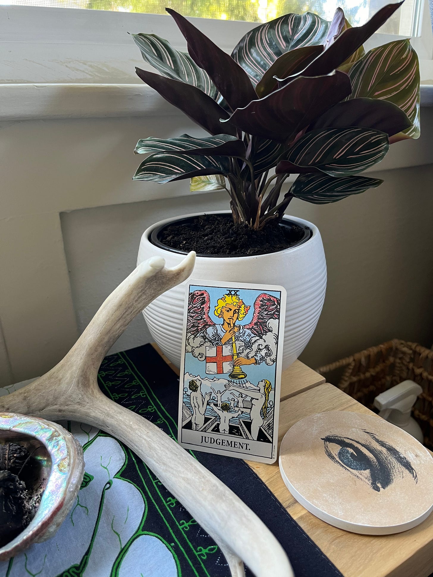 The Rider-Waite Judgement card leans against a white ceramic pot containing a pink-veined prayer plant sitting on an altar