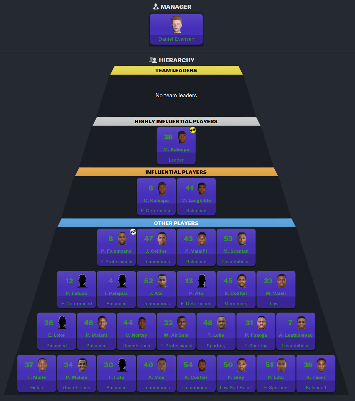 Football Manager 2023 Heirarchy