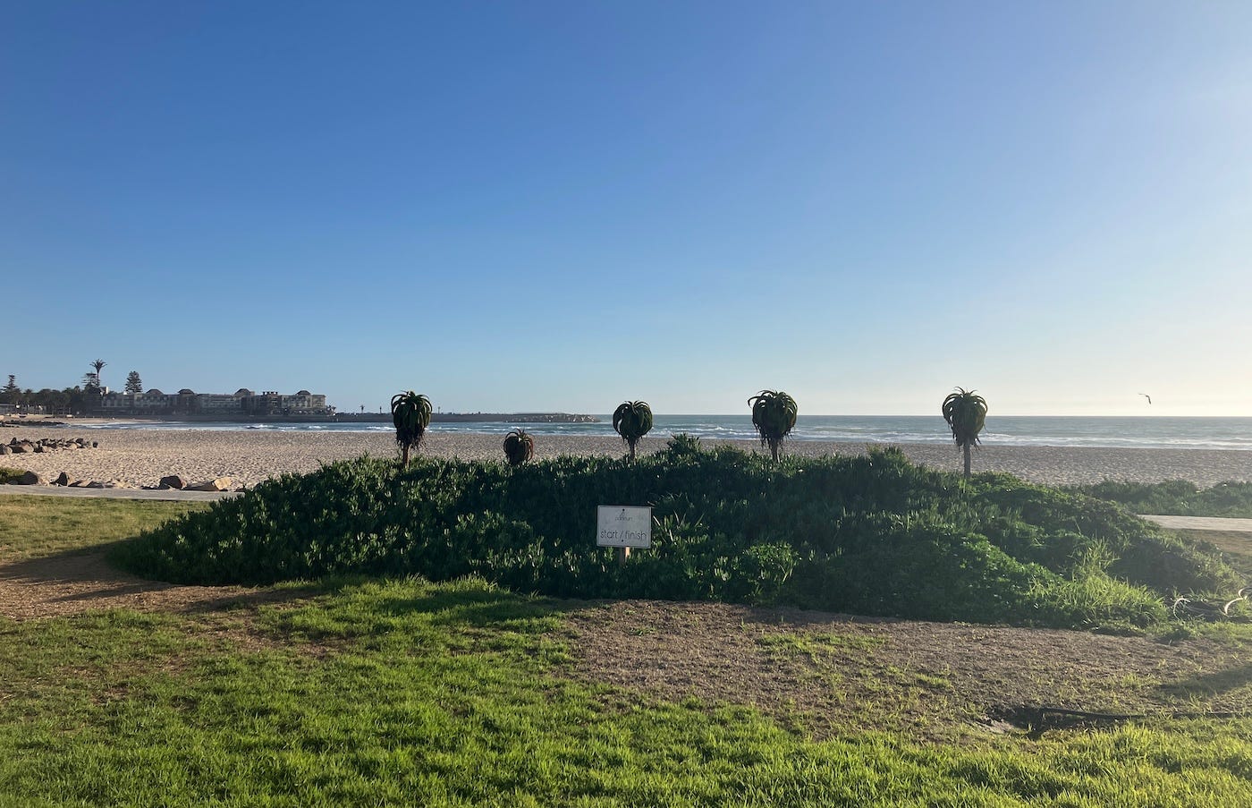 A hillock on grass by the beach has a permanent parkrun start/finish sign