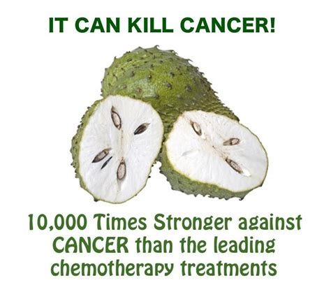 The Soursop Fruit as a Cure for Cancer | Healthy Cancer Chick