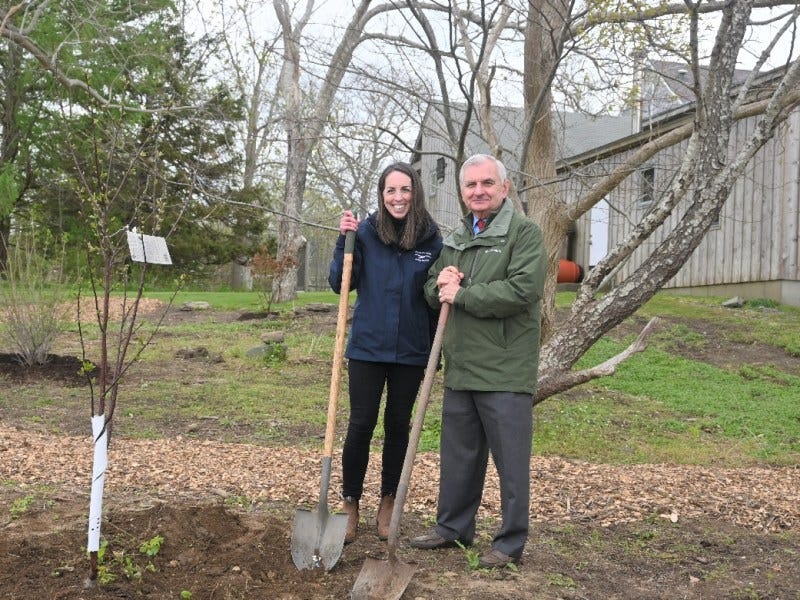 Senator Reed visits Norman Bird Sanctuary, plants a Cherry Tree