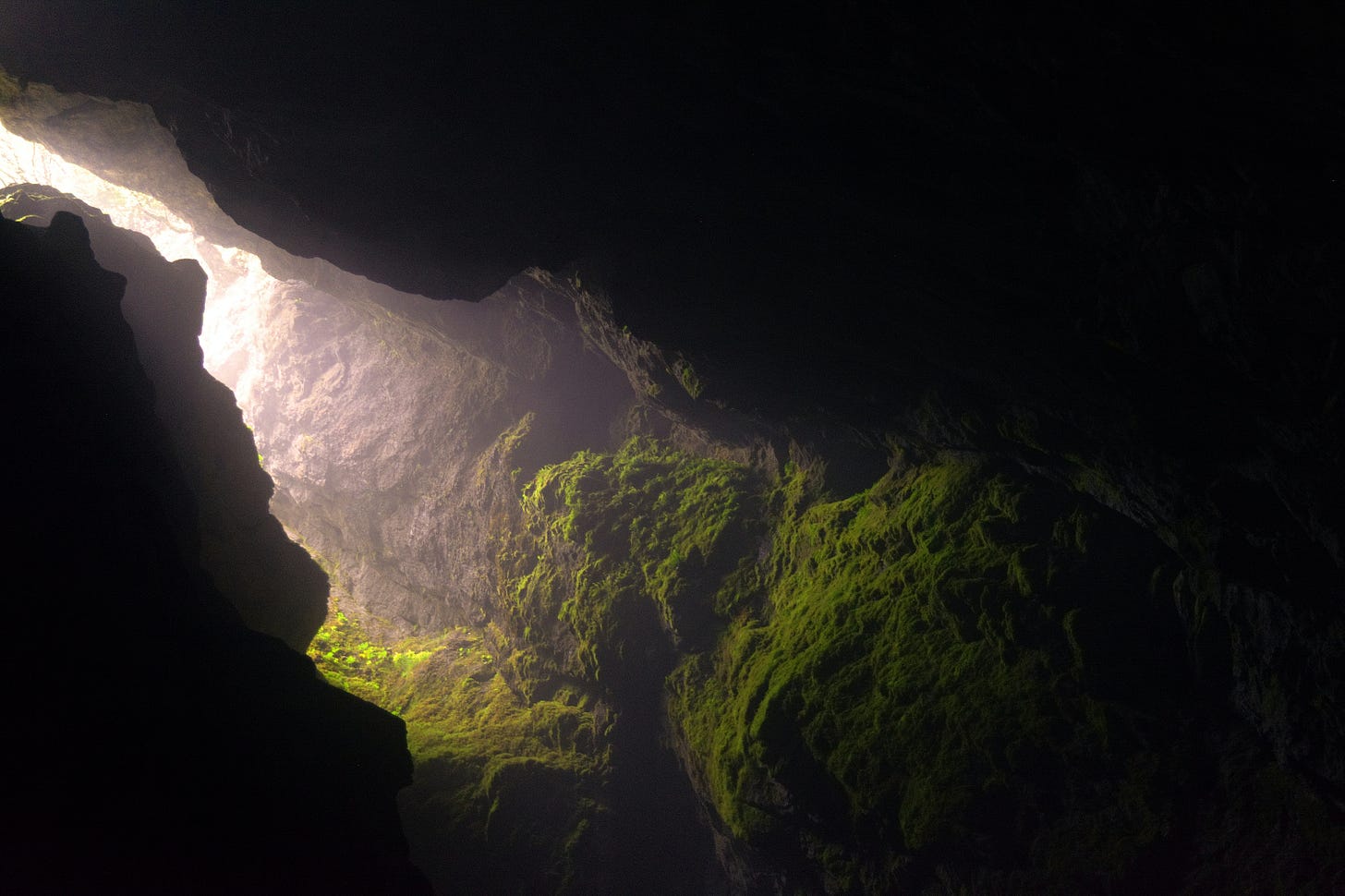 interno di una grotta con rocce muschiate e luce che penetra dall'esterno