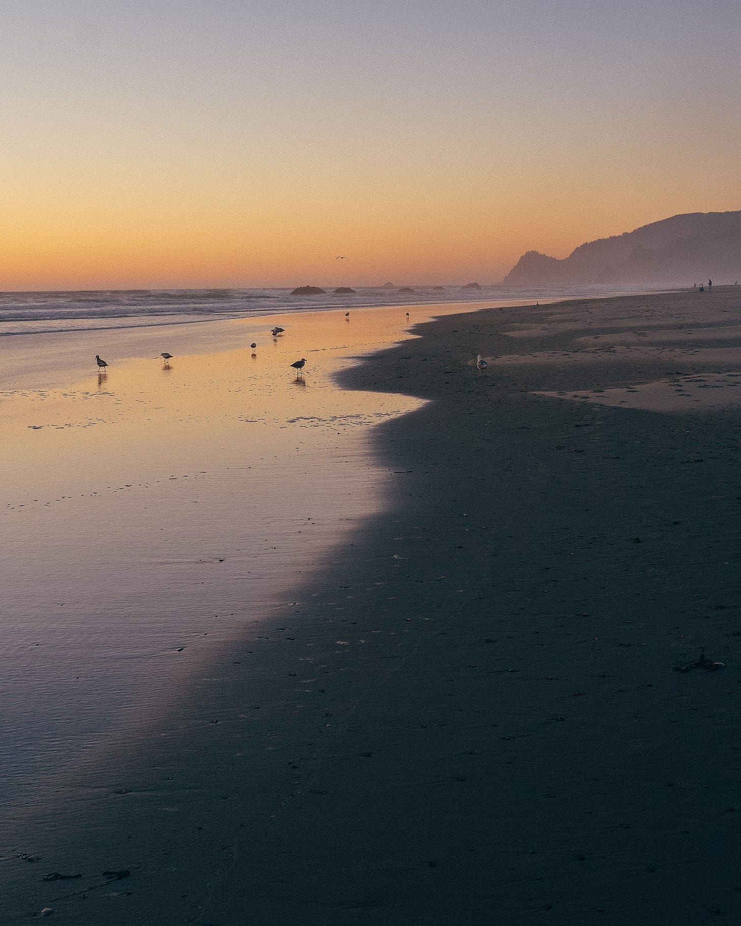 a beach with an orange tint to the sky, silhouettes of birds along the shore, and misted hills in the distance.