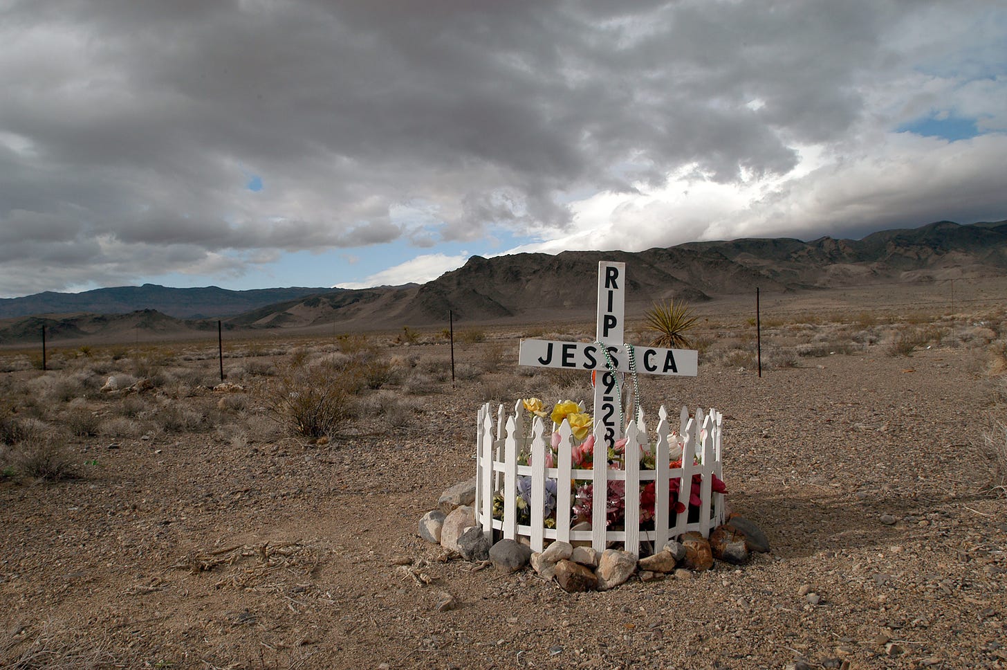 Southern Nevada - 2003. Photo by Paul Vlachos