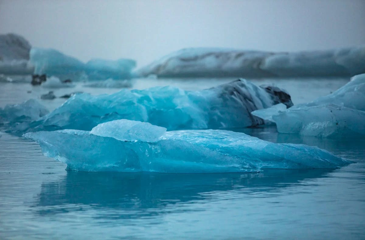 Icebergs floating on top of the ocean near shore.