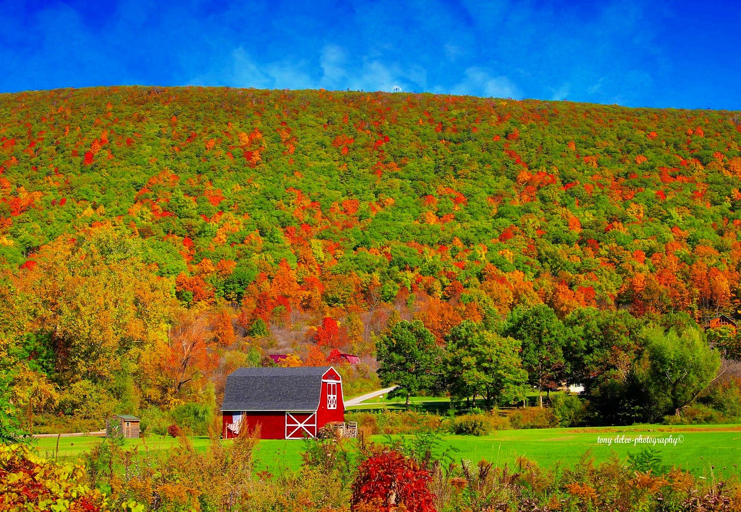 May be an image of nature and covered bridge May be an image of nature and covered bridge